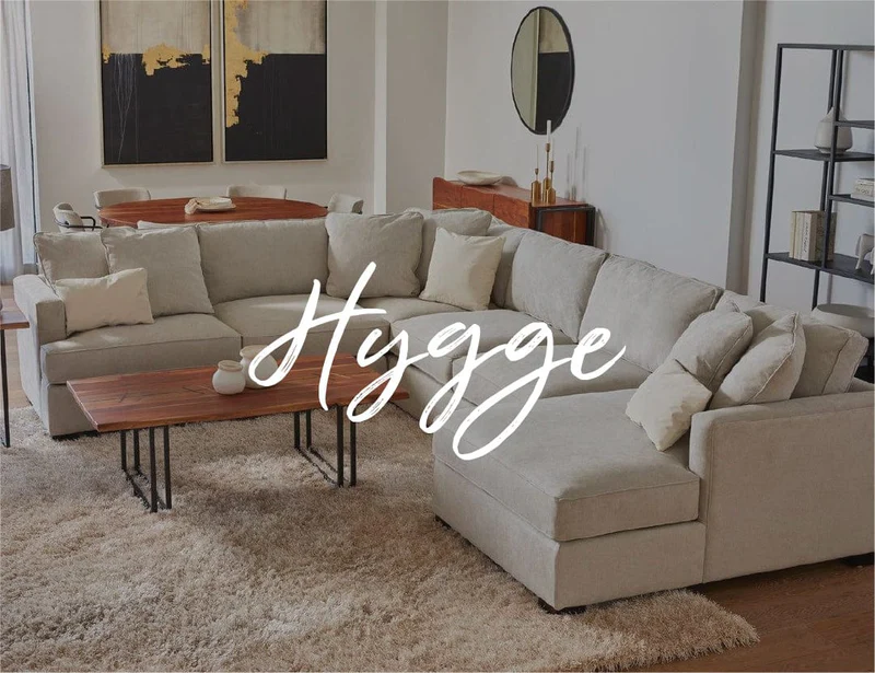 Boise cityscape with mountains and trees