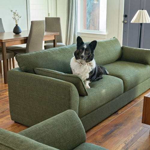 Living room with green sofa and dog